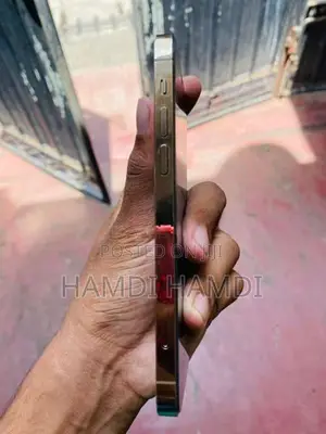 Apple iPhone 12 Pro (Used)