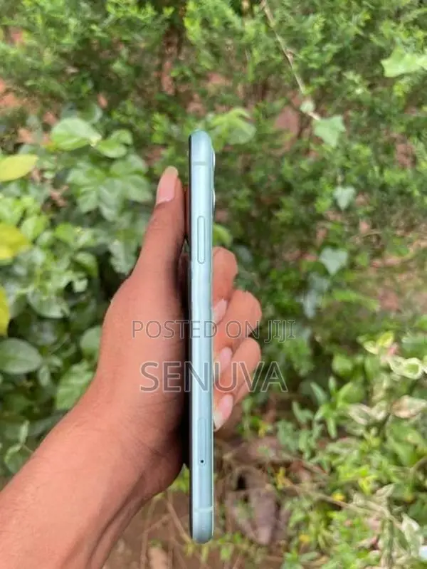 Apple iPhone 11 (Used)
