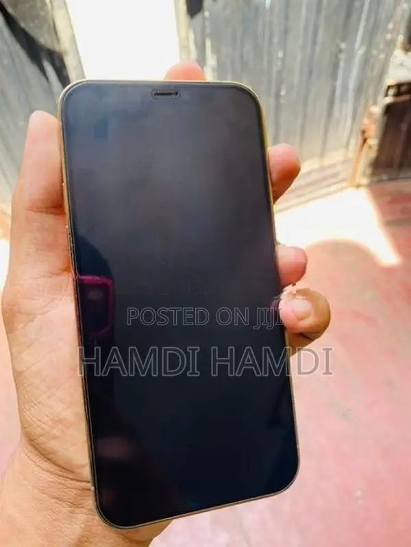 Apple iPhone 12 Pro (Used)