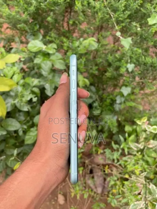 Apple iPhone 11 (Used)
