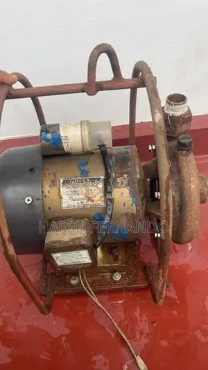 Singer Water Pump