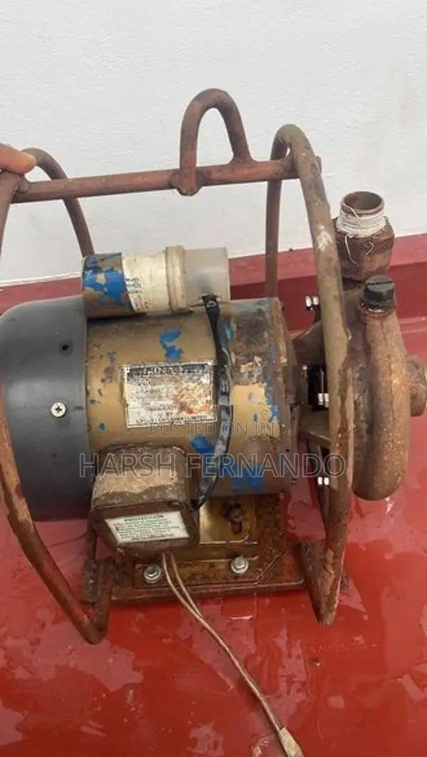 Singer Water Pump