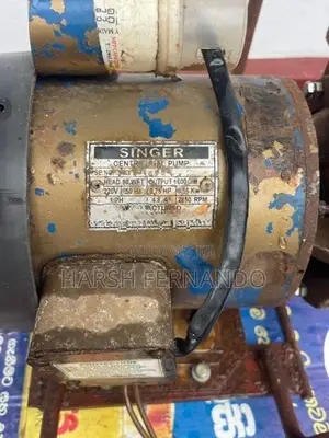 Singer Water Pump