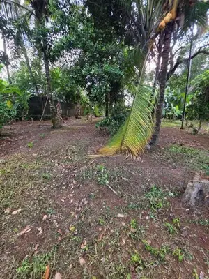 Land for Sale Ragama Delpe Juntion