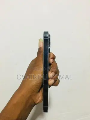 Apple iPhone 13 Pro (Used)