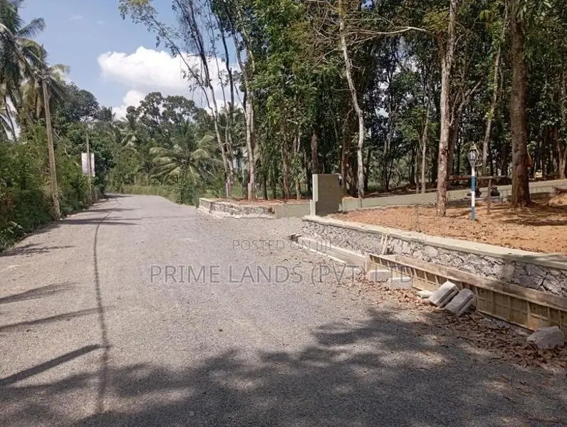 කහතුඩුව අධිවේගී පිවිසුමට ලඟින් හොඳ මහෝගනී වගාවක් සහිත බිම් කොටස්