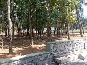 කහතුඩුව අධිවේගී පිවිසුමට ලඟින් හොඳ මහෝගනී වගාවක් සහිත බිම් කොටස්