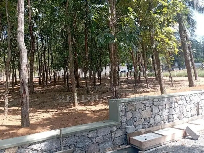 කහතුඩුව අධිවේගී පිවිසුමට ලඟින් හොඳ මහෝගනී වගාවක් සහිත බිම් කොටස්