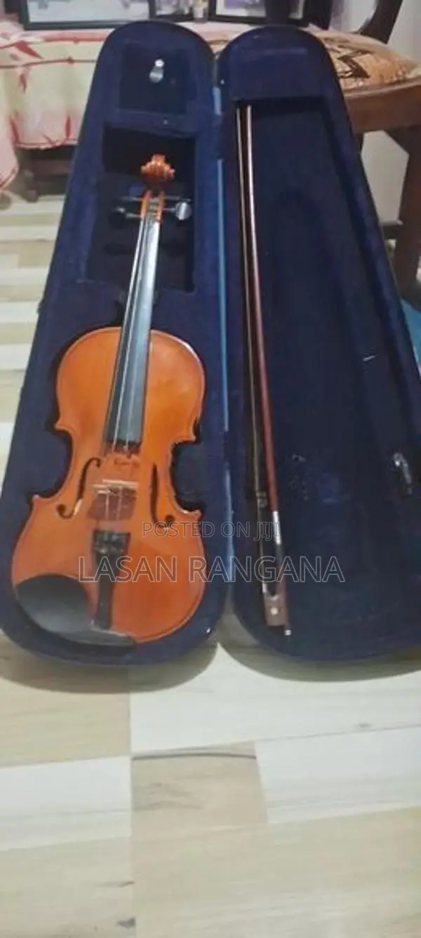 Violin