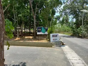 Land for Sale with Mahogany Trees Koralaima