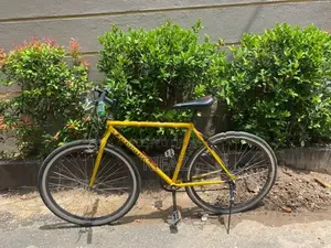 Racing Bicycle