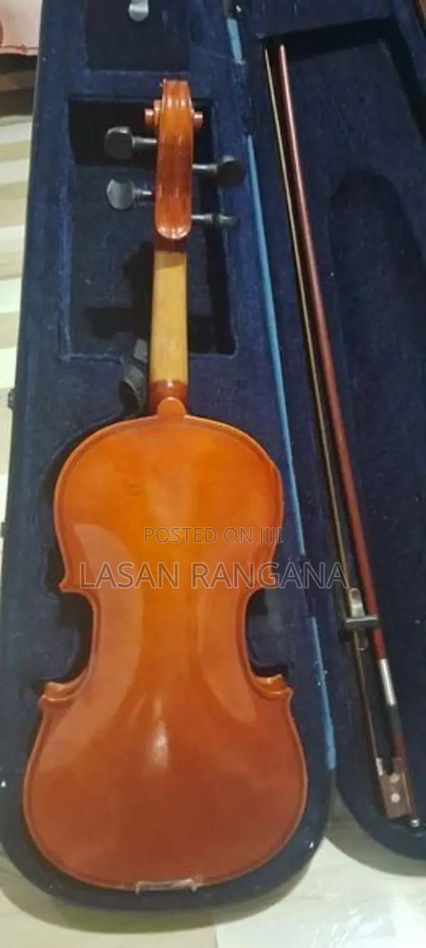 Violin