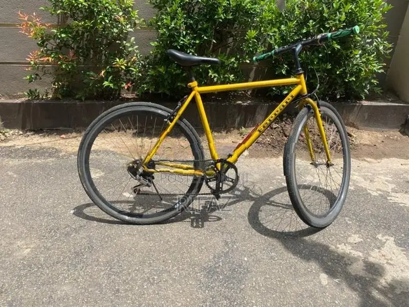 Racing Bicycle