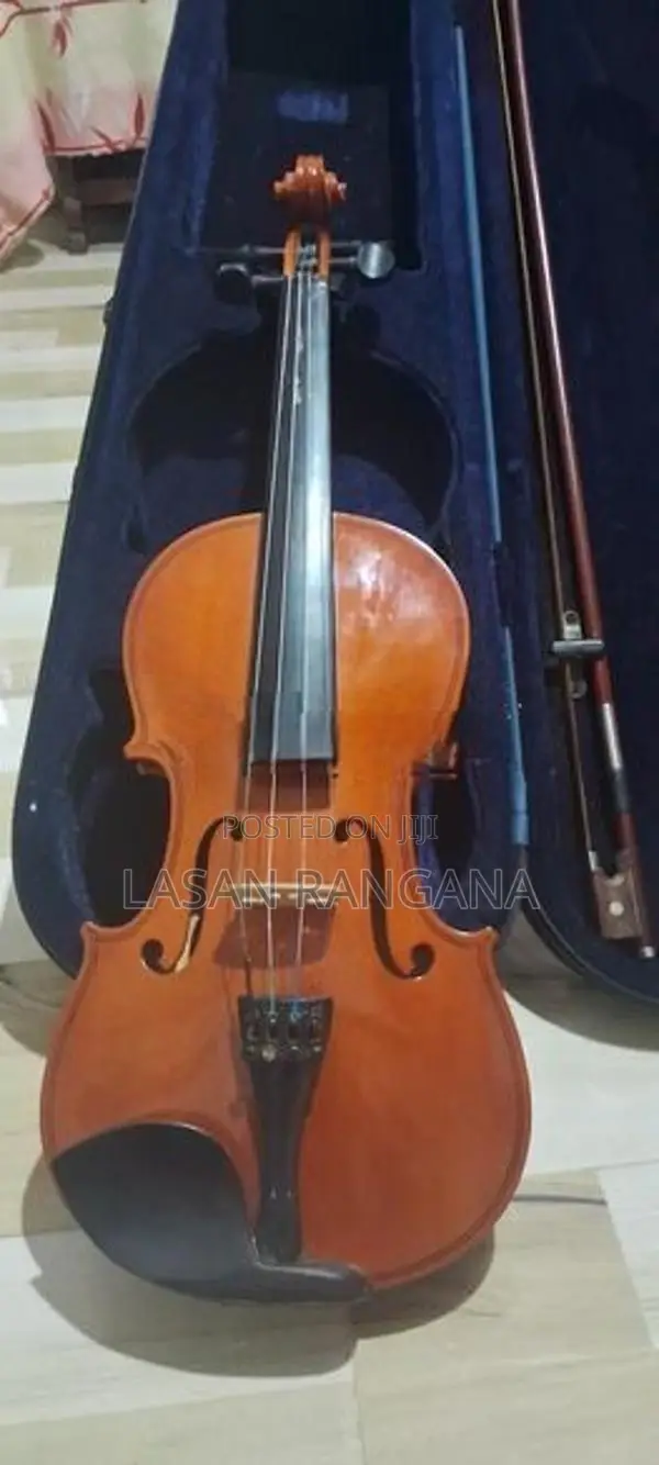 Violin
