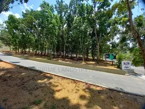Land for Sale with Mahogany Trees Koralaima