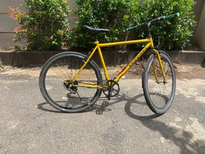 Racing Bicycle