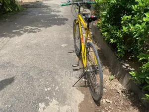 Racing Bicycle