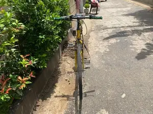 Racing Bicycle