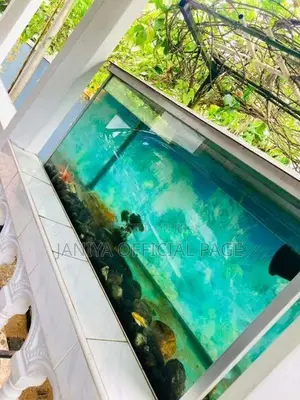 Fish Tank