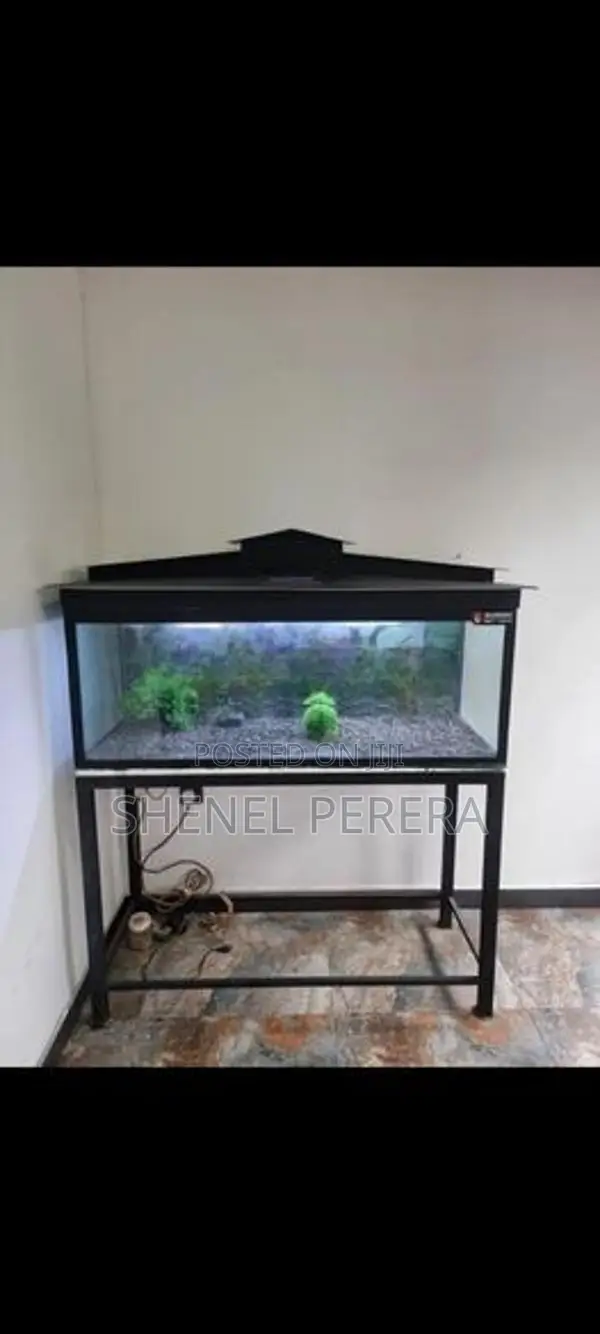 4ft Fish Tank with All Accessories