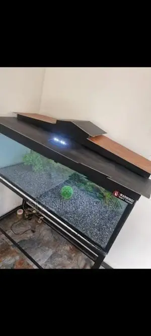 4ft Fish Tank with All Accessories
