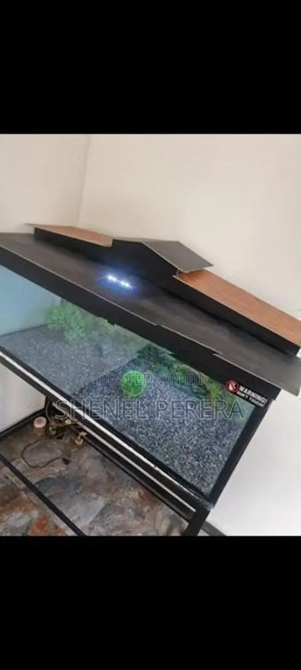 4ft Fish Tank with All Accessories