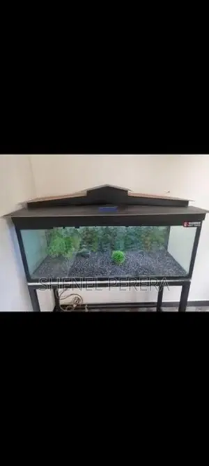4ft Fish Tank with All Accessories