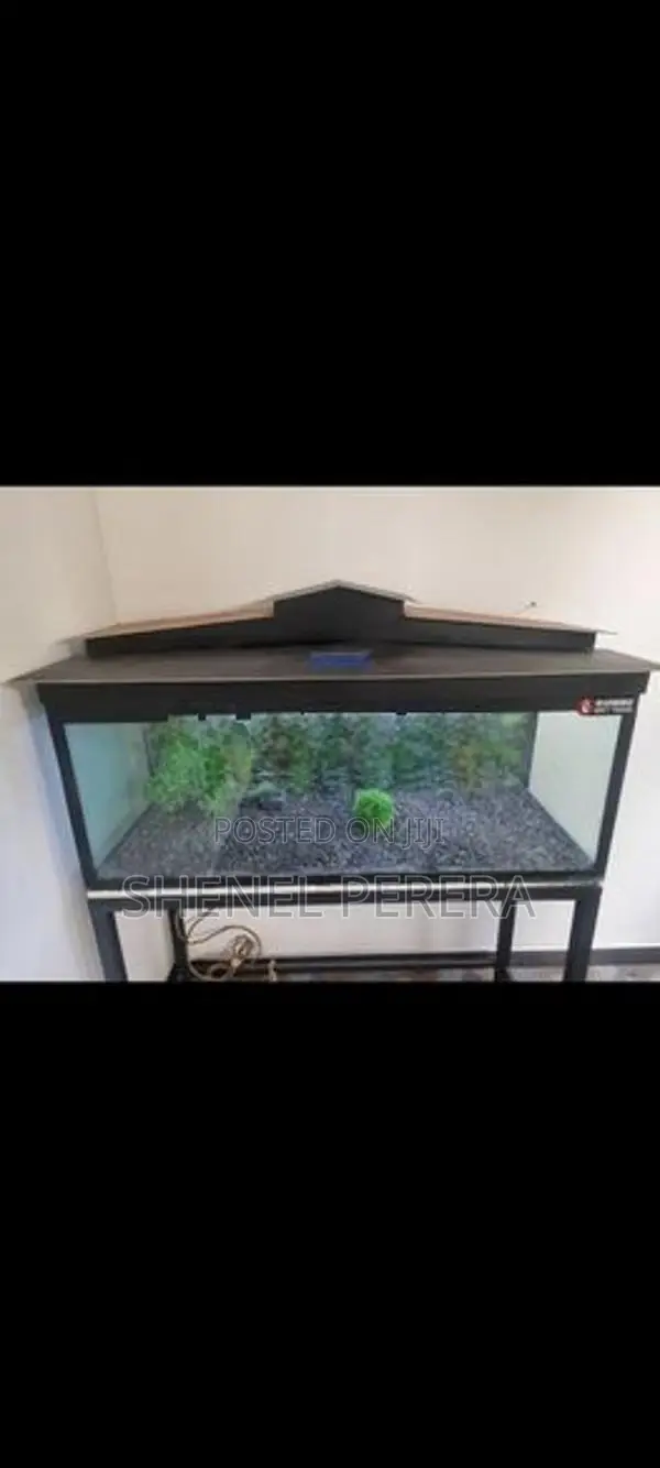 4ft Fish Tank with All Accessories