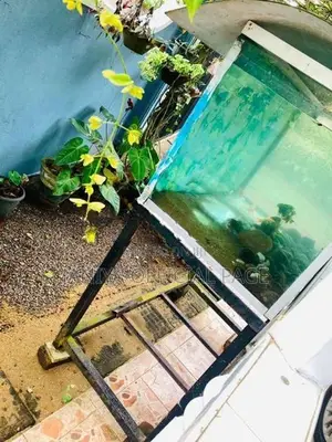 Fish Tank