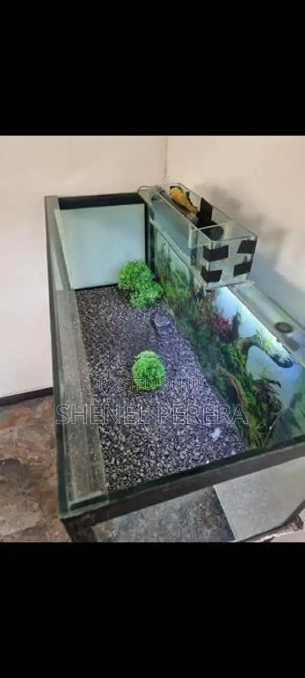4ft Fish Tank with All Accessories