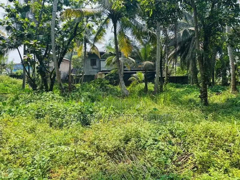 Commercial Land for Sale in Boralesgamuwa