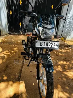 Bajaj Platina 2019
