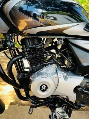 Bajaj Platina 2019