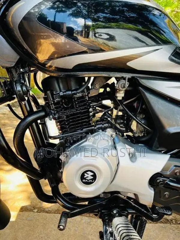 Bajaj Platina 2019