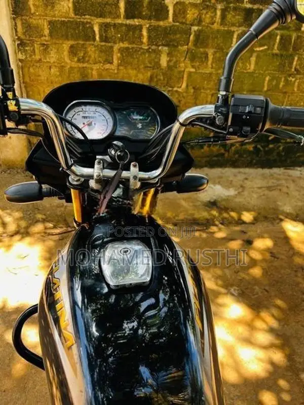 Bajaj Platina 2019