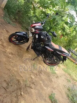 Bajaj Pulsar 135 2007