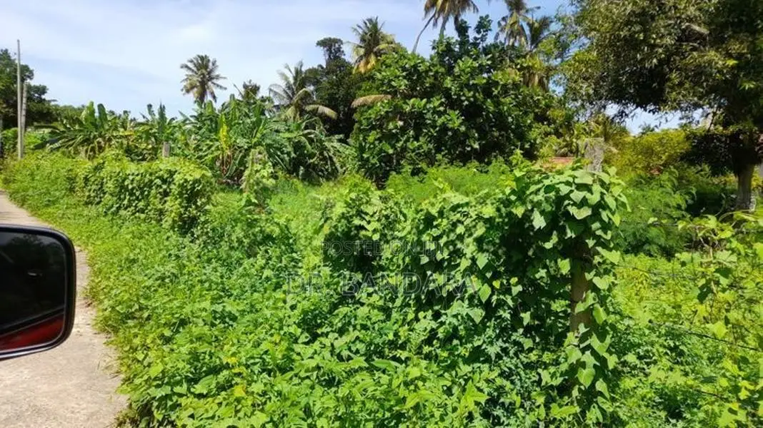 Prime Land For Sale In Matara