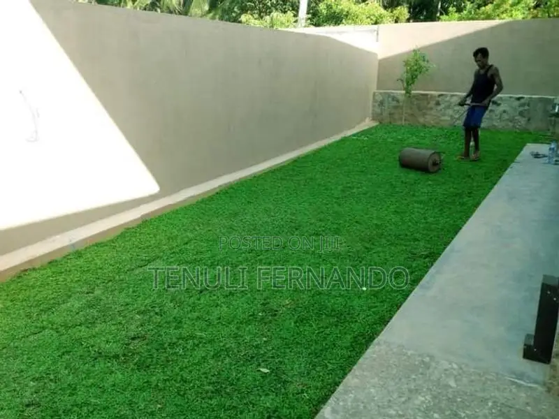 Malaysian Grass