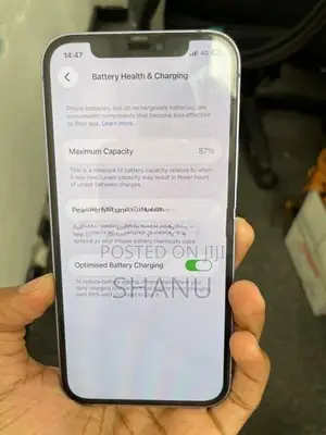 Apple iPhone 12 (Used)