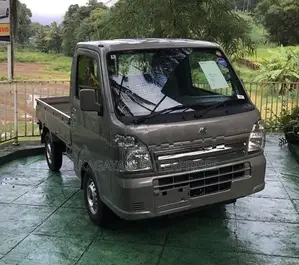 Suzuki Carry AUTO PW SAFETY UNREG 2023