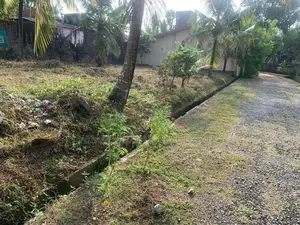 Land for Sale in Piliyandala Gonamaditta