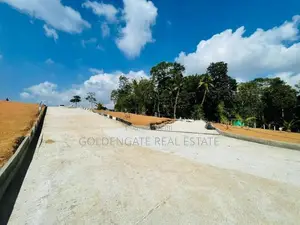Yakkala ලයිසියම් ජාත්‍යන්තර පාසලට ආසන්නතව මුලු ඉඩම