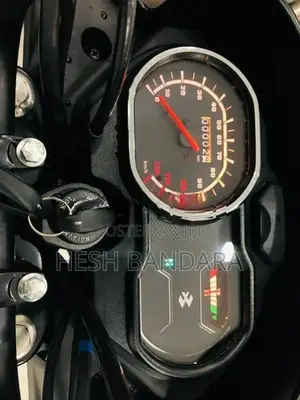 Bajaj Platina 100 ES Brand New 2026