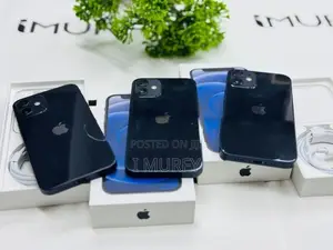 Apple iPhone 12 mini 128GB (Used)