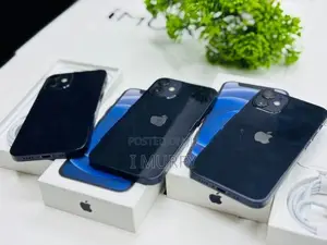 Apple iPhone 12 mini 128GB (Used)