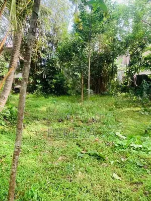 Bandaragama Weedagama 16P Land for Sale