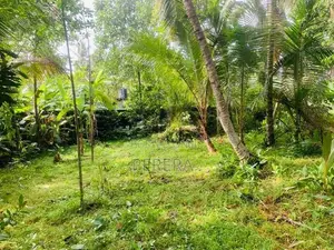 Bandaragama Weedagama 16P Land for Sale
