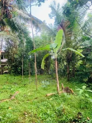 Bandaragama Weedagama 16P Land for Sale