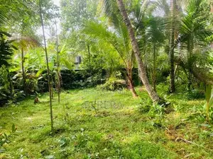 Bandaragama Weedagama 16P Land for Sale