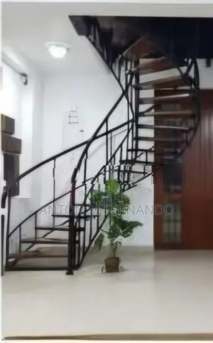 Iron Stair Case with Paramara Wood
